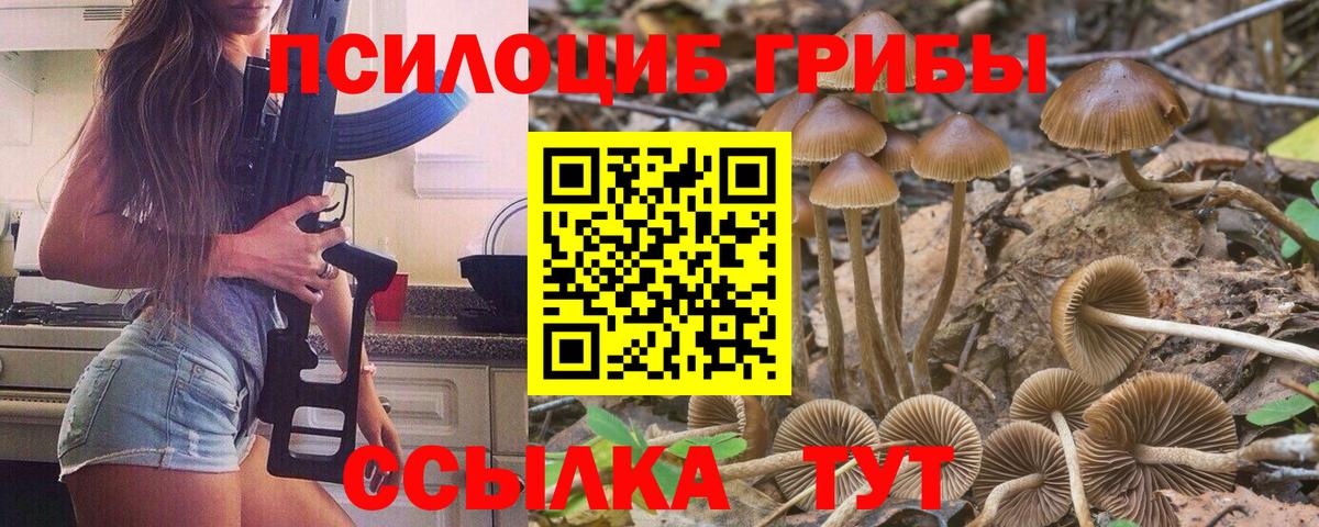 Отрадное  Псилоцибиновые грибы мицелий  Вход с VPN  Псилоцибиновые грибы MAGIC MUSHROOMS 